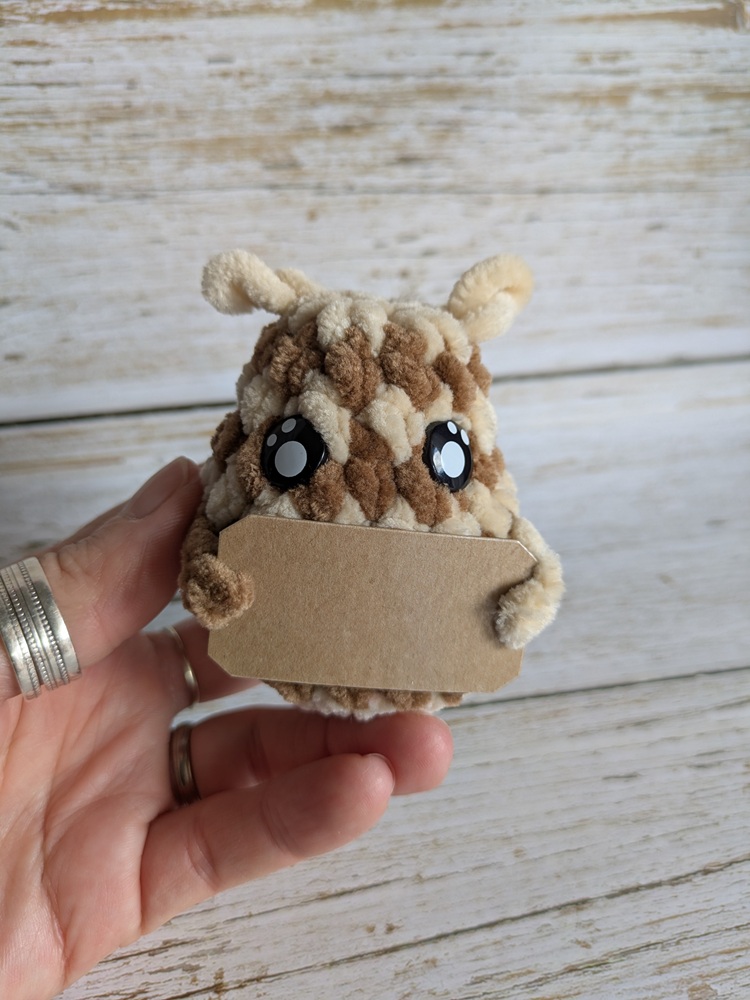 p'tit truc en p'luche cookie